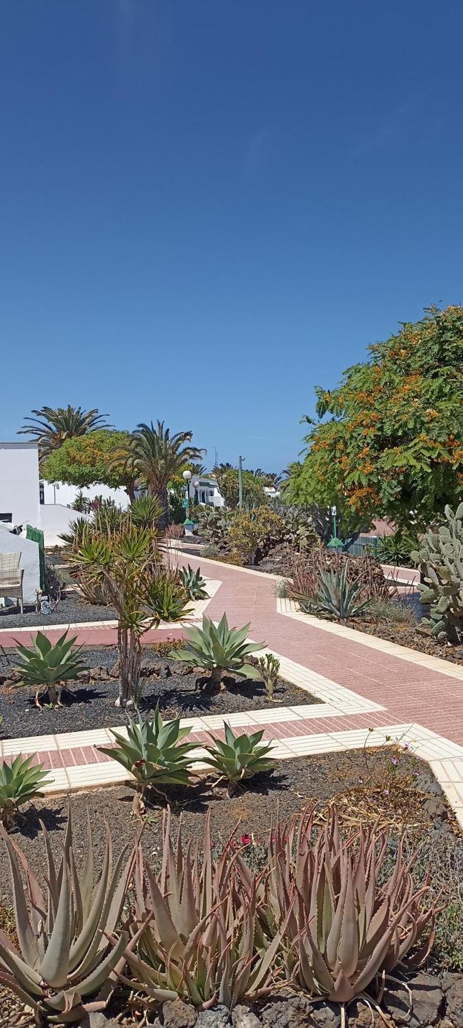 Casa Gioeli Cocosol Villa Costa de Antigua Kültér fotó